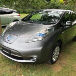 IMG_6235 (1) IMG_6235 (1)