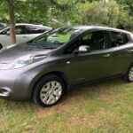 IMG_6236 (1) IMG_6236 (1)