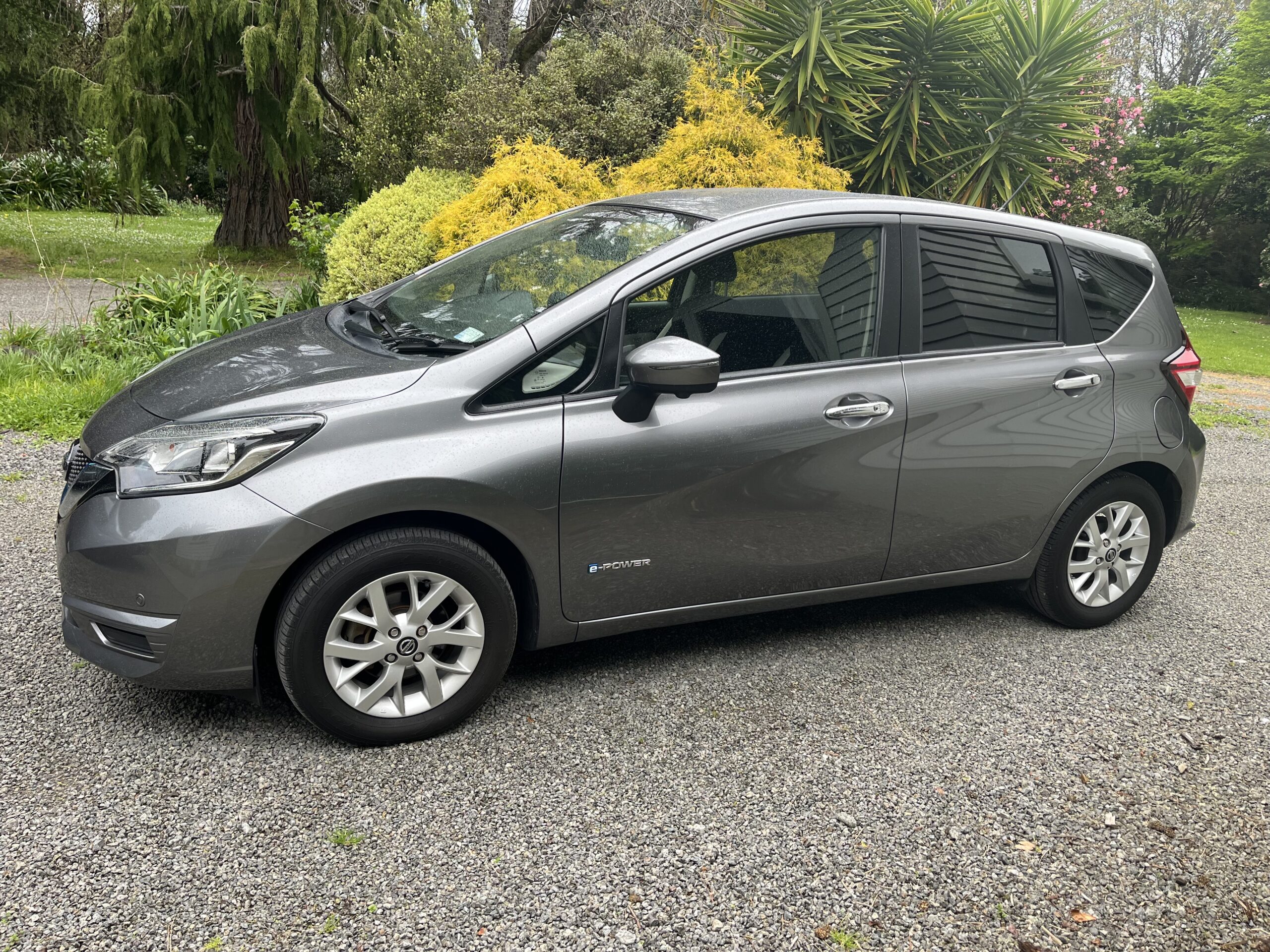 IMG_0547 (1) IMG_0547 (1)